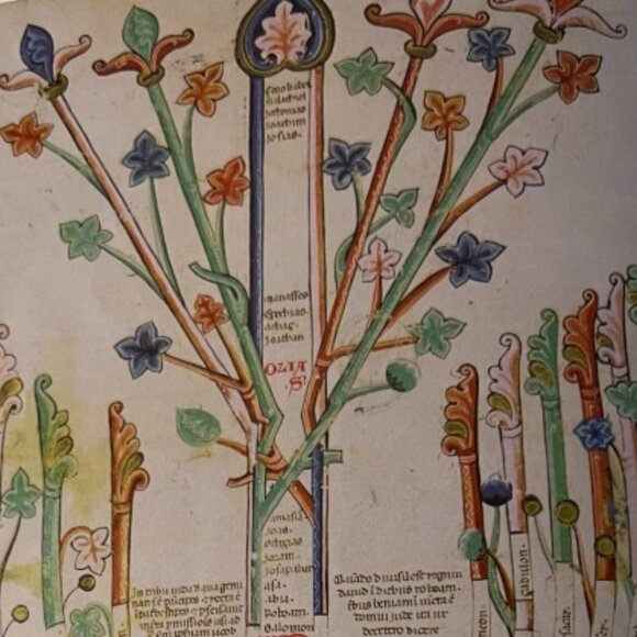 "The Book of Trees: Visualizing Branches of Knowledge" Hardcover 209 Pages - Picture 11 of 13